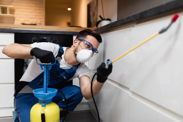 Best Termite Control Services  in Aristocrat Ranchettes, CO