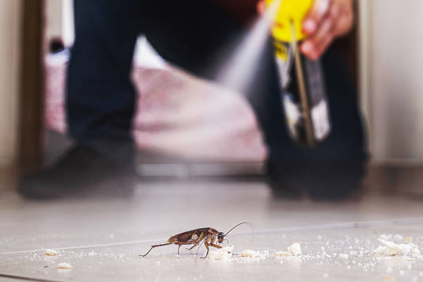 Best Flea Control Services  in Aristocrat Ranchettes, CO
