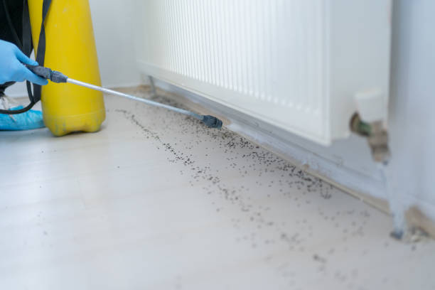 Best Pest Inspection Near Me  in Aristocrat Ranchettes, CO